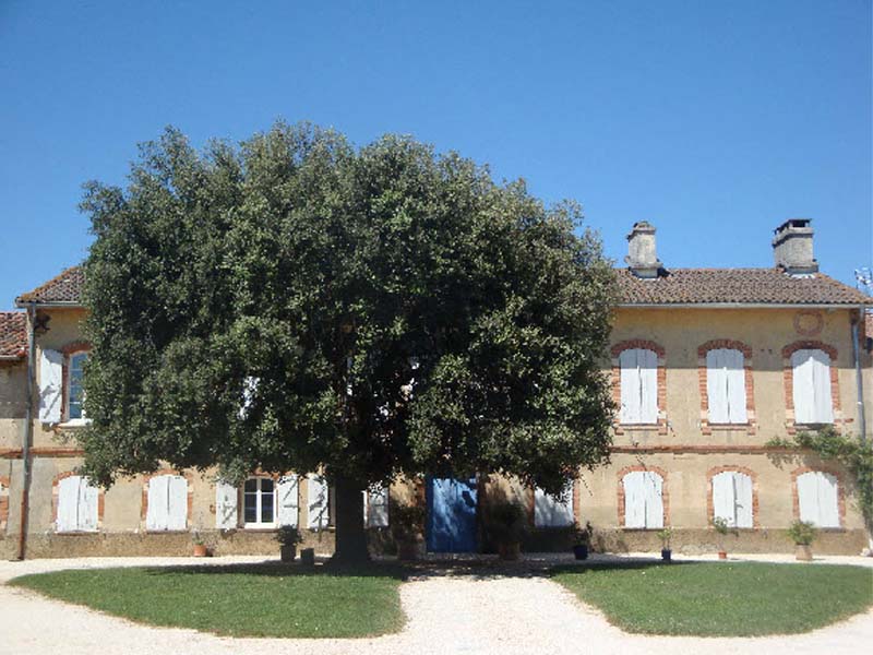 Domaine du Galant_31410 SAINT HILAIRE_4